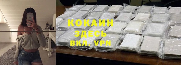 шишки Вязники