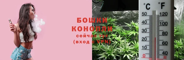 шишки Вязники