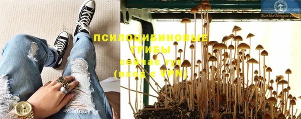 круглые Вяземский