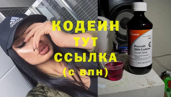 прущий лед Вязьма