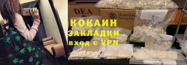 шишки Вязники