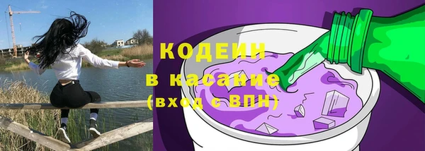 шишки Вязники