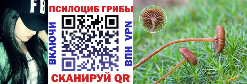 Галлюциногенные грибы мицелий  где купить   Чехов 
